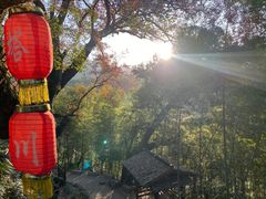 -塔川景区