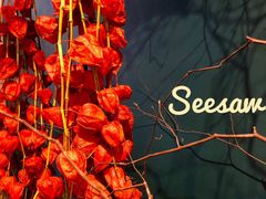 -Seesaw Coffee(深圳万象天地店)