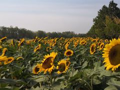 -艾溪湖湿地公园