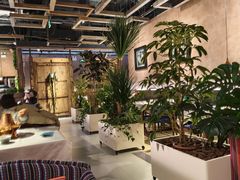 -雀舞云南菜(天津天河城购物中心店)