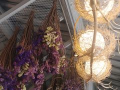 -喵屿·大理花园猫咖