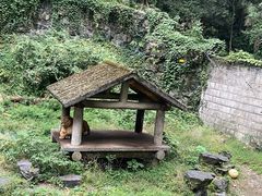 -杭州动物园