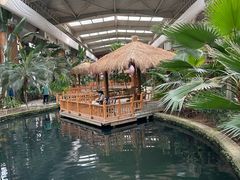 -南宫五洲植物乐园