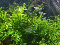 -上海海洋水族馆