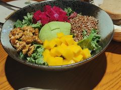 羽衣甘蓝沙拉-普兰达德国餐厅·德式脆皮烤猪肘·自酿啤酒(观唐店)