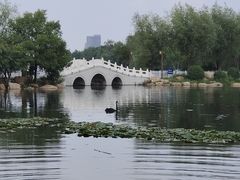 -长春市南湖公园