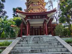 -深圳仙湖植物园