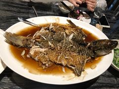 罾蹦鲤鱼-津菜典藏河西店(水上店)