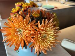 -南堂馆·新川菜(春熙路店)