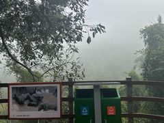 -野象谷景区