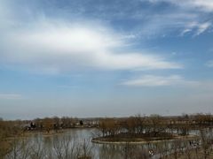 -盐城丹顶鹤湿地生态旅游区