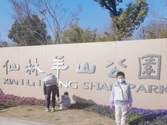 -羊山湖公园