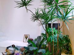-XI·LaundryCafe 喜咖自助洗衣咖啡店