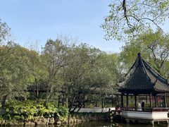 -上海醉白池公园