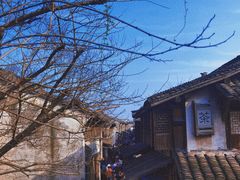 -乌镇景区