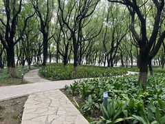 -金鸡湖景区