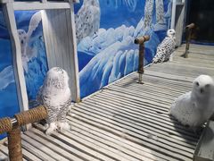 -成都浩海立方海洋公园