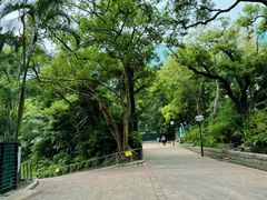 -九龙公园
