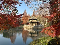-习家池