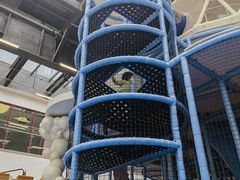 -中国宋庆龄青少年科技文化交流中心