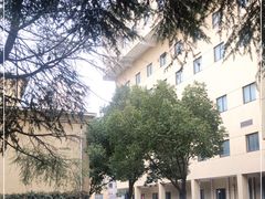 -上海圣淘沙万怡酒店