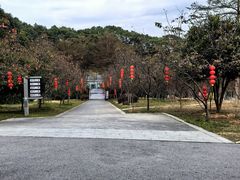 -广州市帽峰山景区