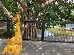 -泉州海丝野生动物世界