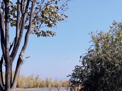 -洱海月湿地公园