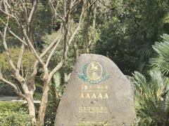 -都江堰景区