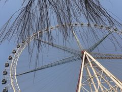 -济南国际园博园