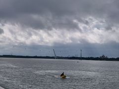 -人民防洪胜利纪念塔