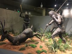-北京周口店北京人遗址博物馆