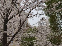 -堤角公园