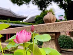 -寒山寺