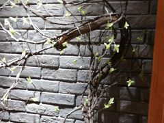 -群英会·三国菜(曹魏古城店)