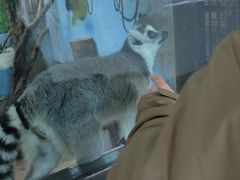 -青藏高原野生动物园