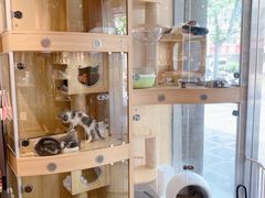 -PETKIT 小佩宠物·低压洗护·美容·寄养(安远店)