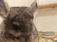 -龙猫仔乐园(惠福东路店)