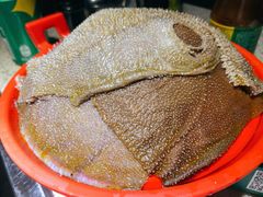 清油毛肚-二荆条·蜀鲜汇城市森林火锅