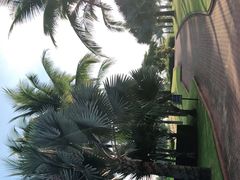 -海南鉴湖蓝湾高尔夫球会