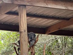 -费瑟代尔野生动物园