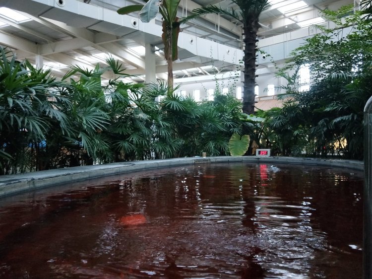 兰州新区休闲处 敦湖温泉走一遭