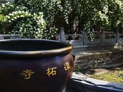 -潭柘寺景区