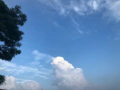 -欢姐伦教糕(北海大道北店)