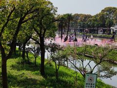 -苏州太湖西山岛开心农场