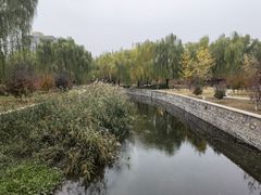 -元大都城垣遗址公园