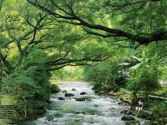 -广州市石门国家森林公园