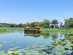 -颐和园