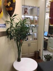 -芳朵美容养生SPA