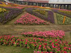 -上海浦江郊野公园-2号停车场